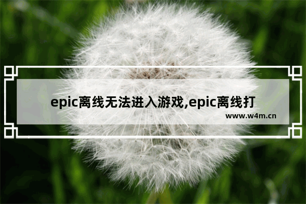 epic离线无法进入游戏,epic离线打不开游戏