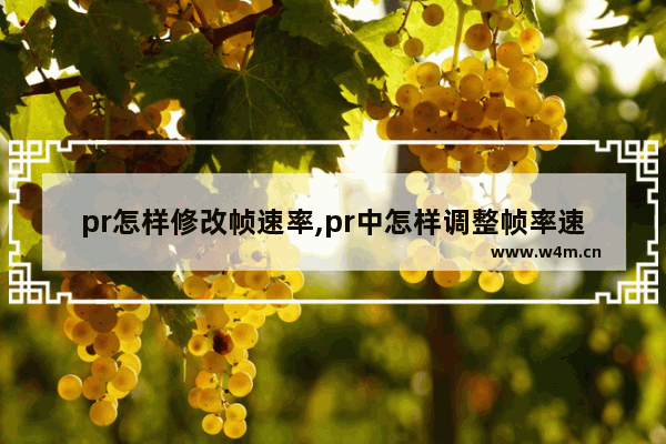 pr怎样修改帧速率,pr中怎样调整帧率速度