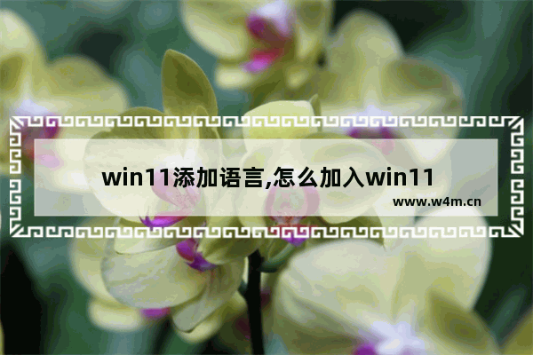 win11添加语言,怎么加入win11