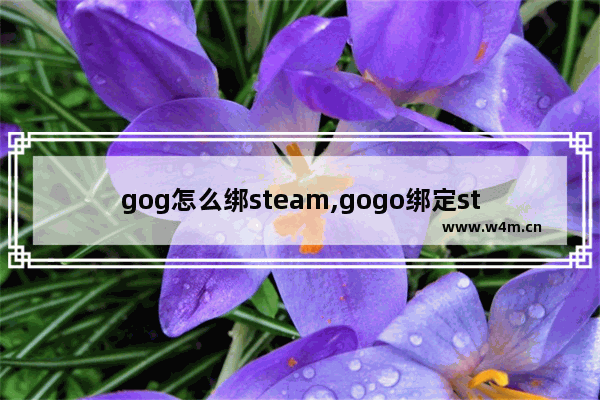 gog怎么绑steam,gogo绑定steam