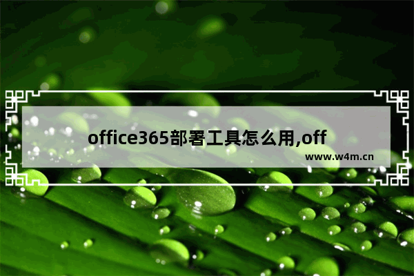 office365部署工具怎么用,office365开发工具