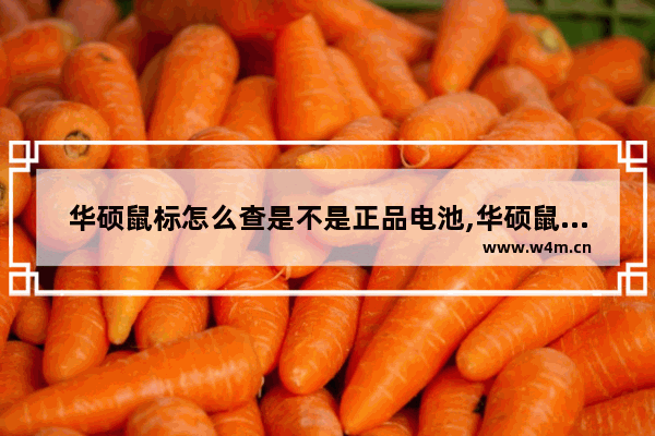 华硕鼠标怎么查是不是正品电池,华硕鼠标怎么查是不是正品新的