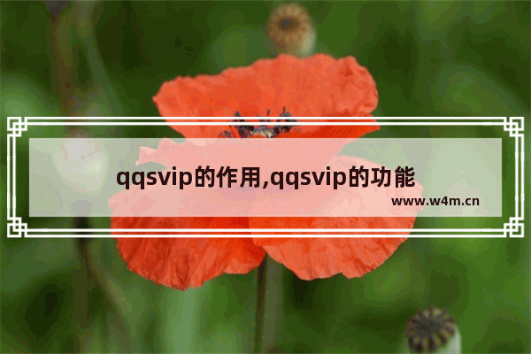 qqsvip的作用,qqsvip的功能