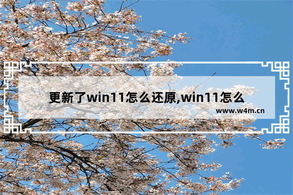 更新了win11怎么还原,win11怎么退回win10