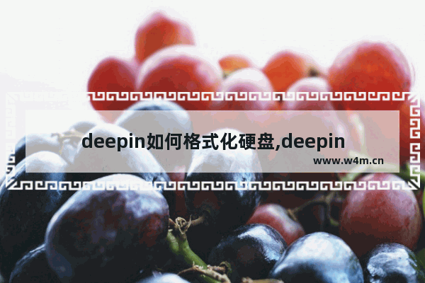 deepin如何格式化硬盘,deepin格式化整个硬盘