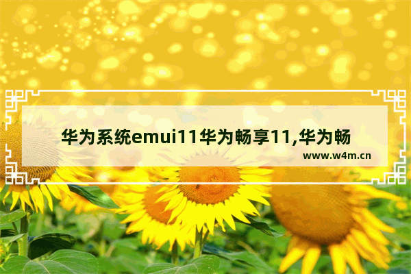 华为系统emui11华为畅享11,华为畅享10能升级EMUI10么