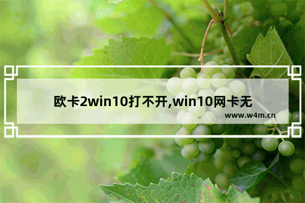 欧卡2win10打不开,win10网卡无法使用