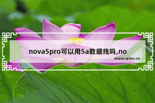 nova5pro可以用5a数据线吗,nova4能不能用5a数据线