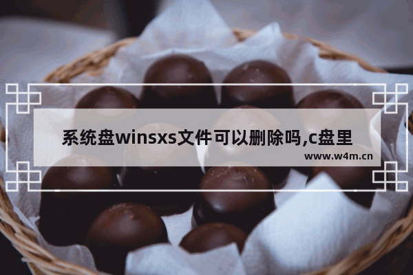 系统盘winsxs文件可以删除吗,c盘里的winsxs误删了怎么办