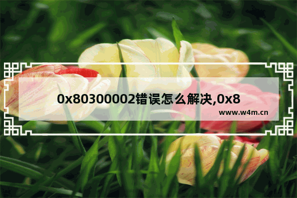 0x80300002错误怎么解决,0x80300001错误怎么解决