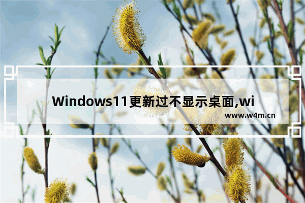 Windows11更新过不显示桌面,win11升级桌面东西全没了