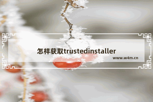 怎样获取trustedinstaller的权限,如何获得trustedinstaller权限