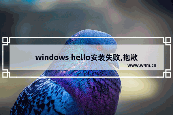 windows hello安装失败,抱歉windows hello 然后尝试再次运行安装程序