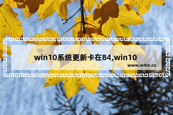 win10系统更新卡在84,win10 2004更新不了