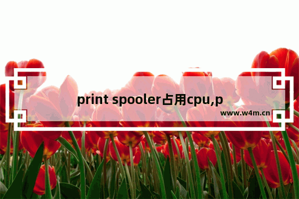 print spooler占用cpu,print spooler将文件加载到内存供稍后打印