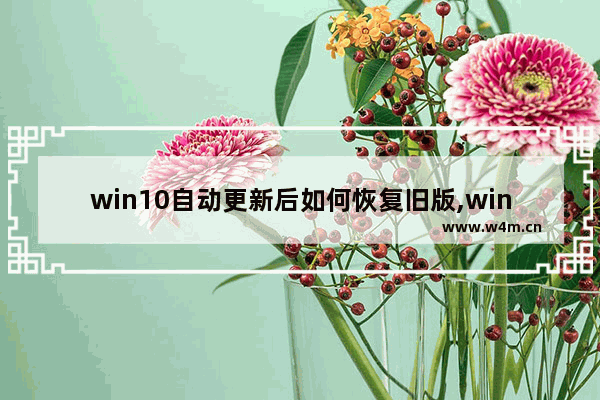 win10自动更新后如何恢复旧版,windows10更新后如何恢复以前版本