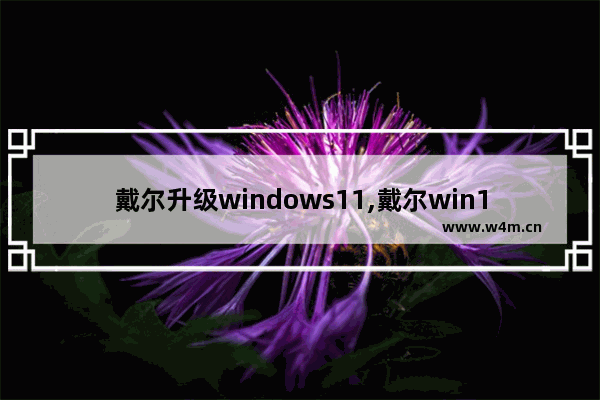 戴尔升级windows11,戴尔win10怎么升级win11