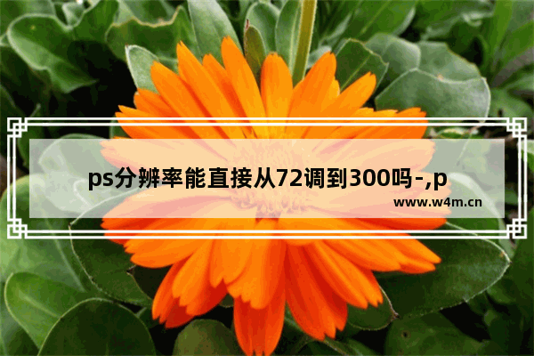 ps分辨率能直接从72调到300吗-,ps分辨率72变成300psd