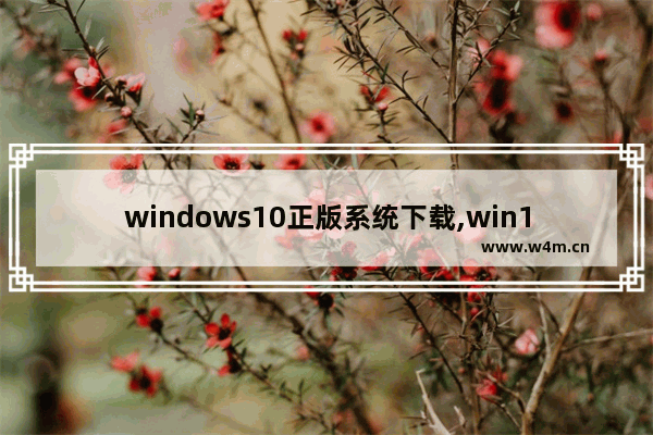 windows10正版系统下载,win10正版哪里下载