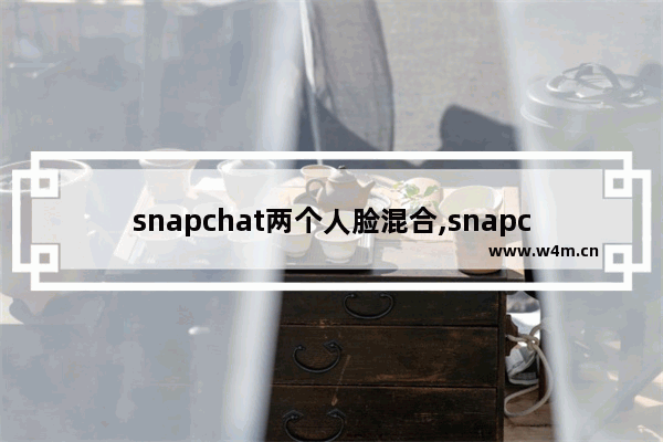 snapchat两个人脸混合,snapchat对称脸