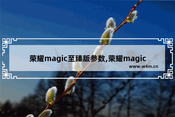 荣耀magic至臻版参数,荣耀magic3至臻版前置摄像头