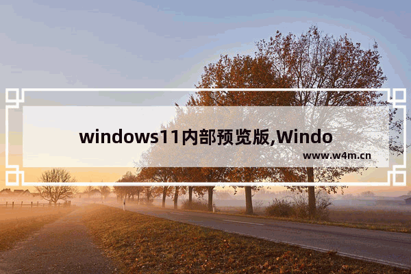 windows11内部预览版,Windows11预览版安装教程