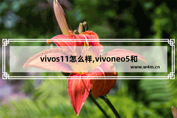 vivos11怎么样,vivoneo5和小米10s哪个好