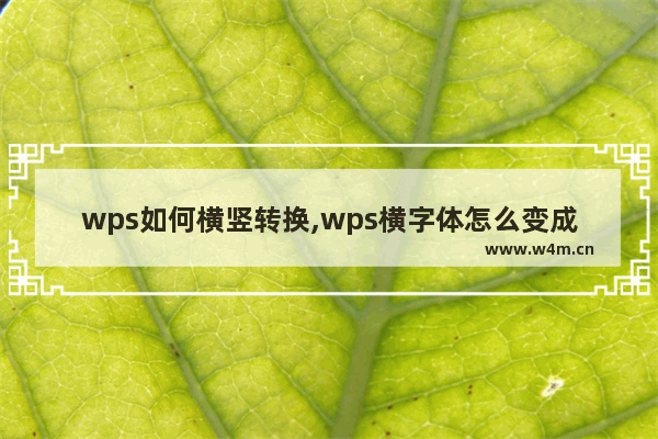 wps如何横竖转换,wps横字体怎么变成竖的