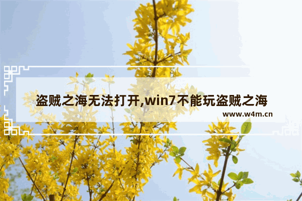 盗贼之海无法打开,win7不能玩盗贼之海