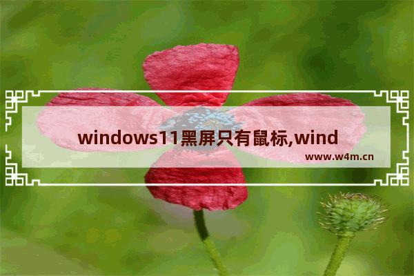 windows11黑屏只有鼠标,windows10突然黑屏只有鼠标