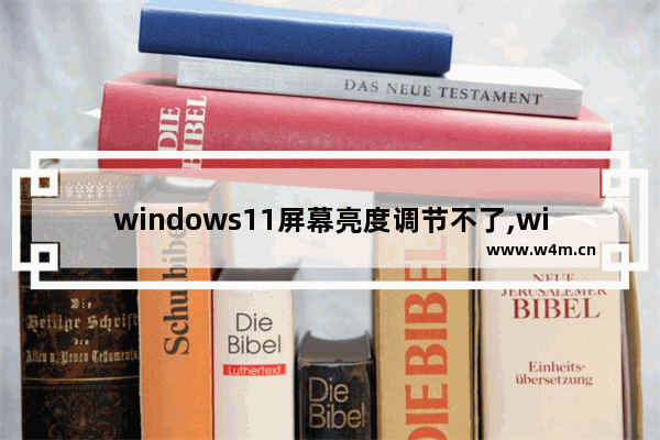 windows11屏幕亮度调节不了,win11电脑亮度怎么调节-