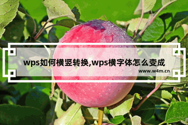 wps如何横竖转换,wps横字体怎么变成竖的