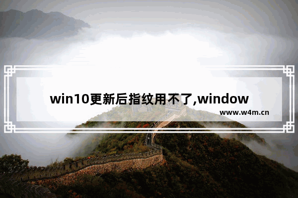 win10更新后指纹用不了,windows11指纹设置不了