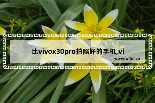 比vivox30pro拍照好的手机,vivox30pro相机评测