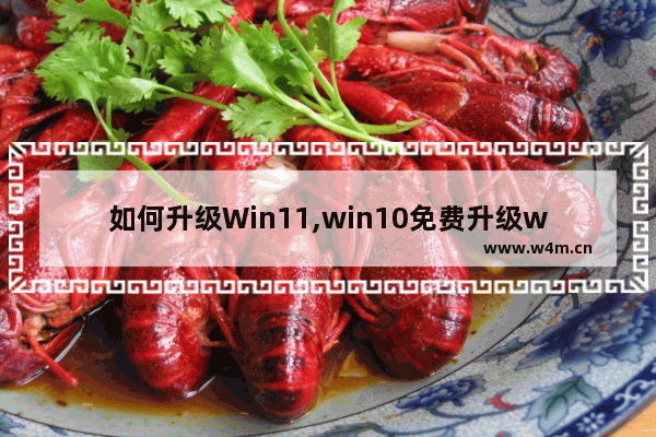 如何升级Win11,win10免费升级win11方法