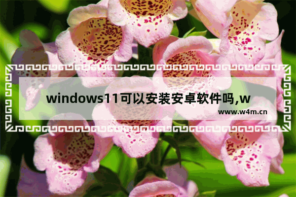 windows11可以安装安卓软件吗,win11能装安卓了吗