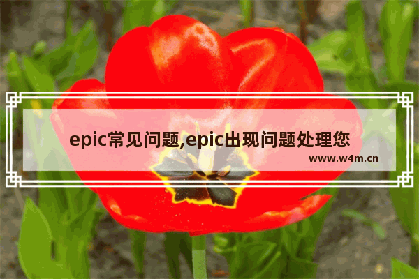 epic常见问题,epic出现问题处理您的购买