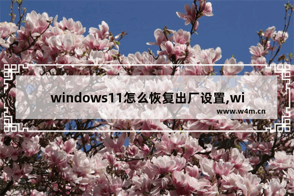 windows11怎么恢复出厂设置,windows10系统恢复出厂设置