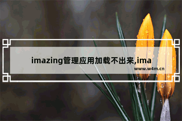 imazing管理应用加载不出来,imazing正在加载应用