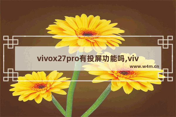 vivox27pro有投屏功能吗,vivox20支持投屏吗