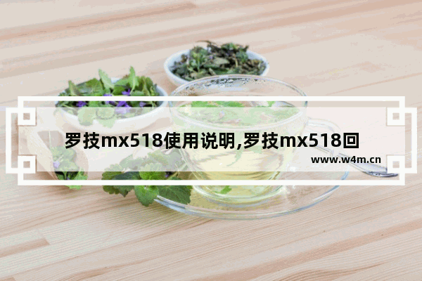 罗技mx518使用说明,罗技mx518回报率