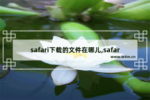 safari下载的文件在哪儿,safari浏览器文件下载位置