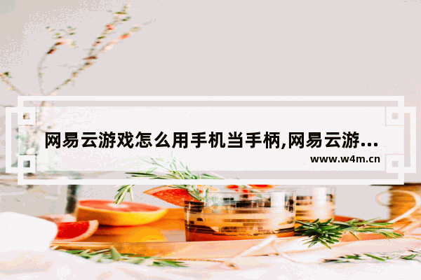 网易云游戏怎么用手机当手柄,网易云游戏手机怎么连接手柄