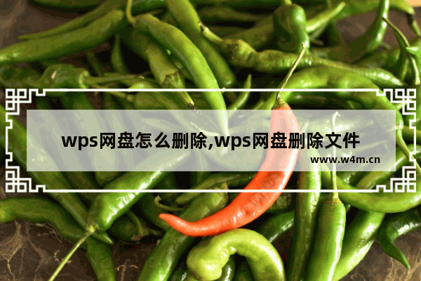 wps网盘怎么删除,wps网盘删除文件