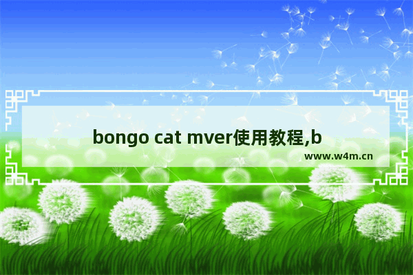 bongo cat mver使用教程,bongo cat mver怎么固定在画面上