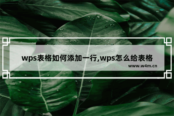 wps表格如何添加一行,wps怎么给表格加一行