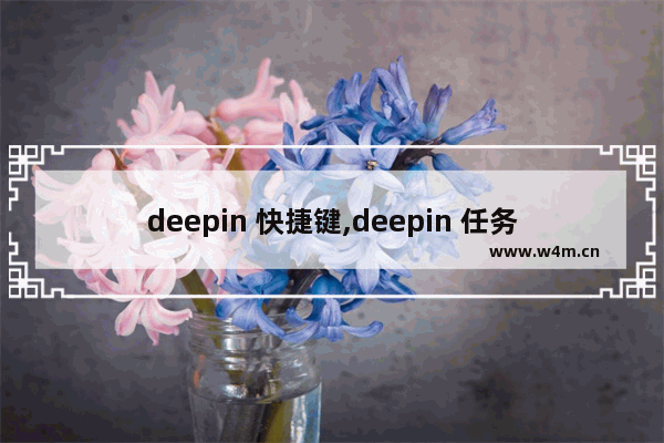 deepin 快捷键,deepin 任务管理器