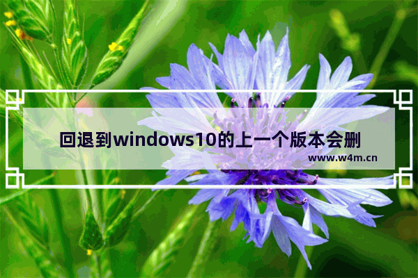 回退到windows10的上一个版本会删除文件吗,win10系统回退版本