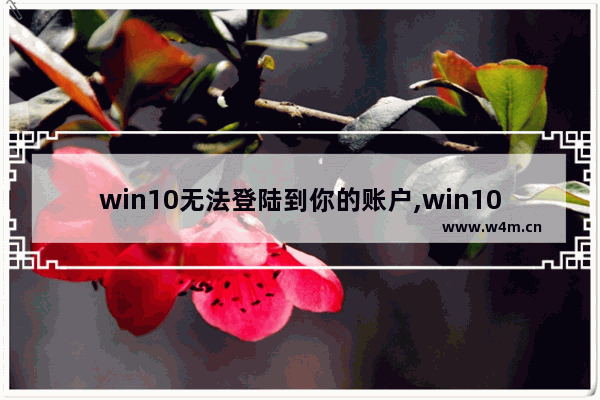 win10无法登陆到你的账户,win10系统无法登陆到你的账户