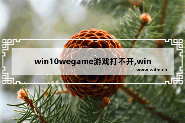 win10wegame游戏打不开,win10运行wegame无响应